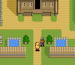Princess Minerva screenshot 5 for Super Famicom